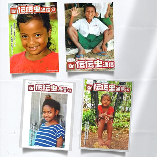 「伝伝虫通信」のバックナンバー１冊＋活動支援☆