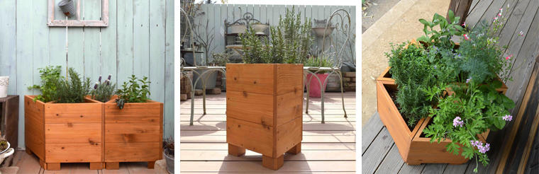 ハーブ100種類から選べる！三角ウッドプランターをつかったハーブ栽培