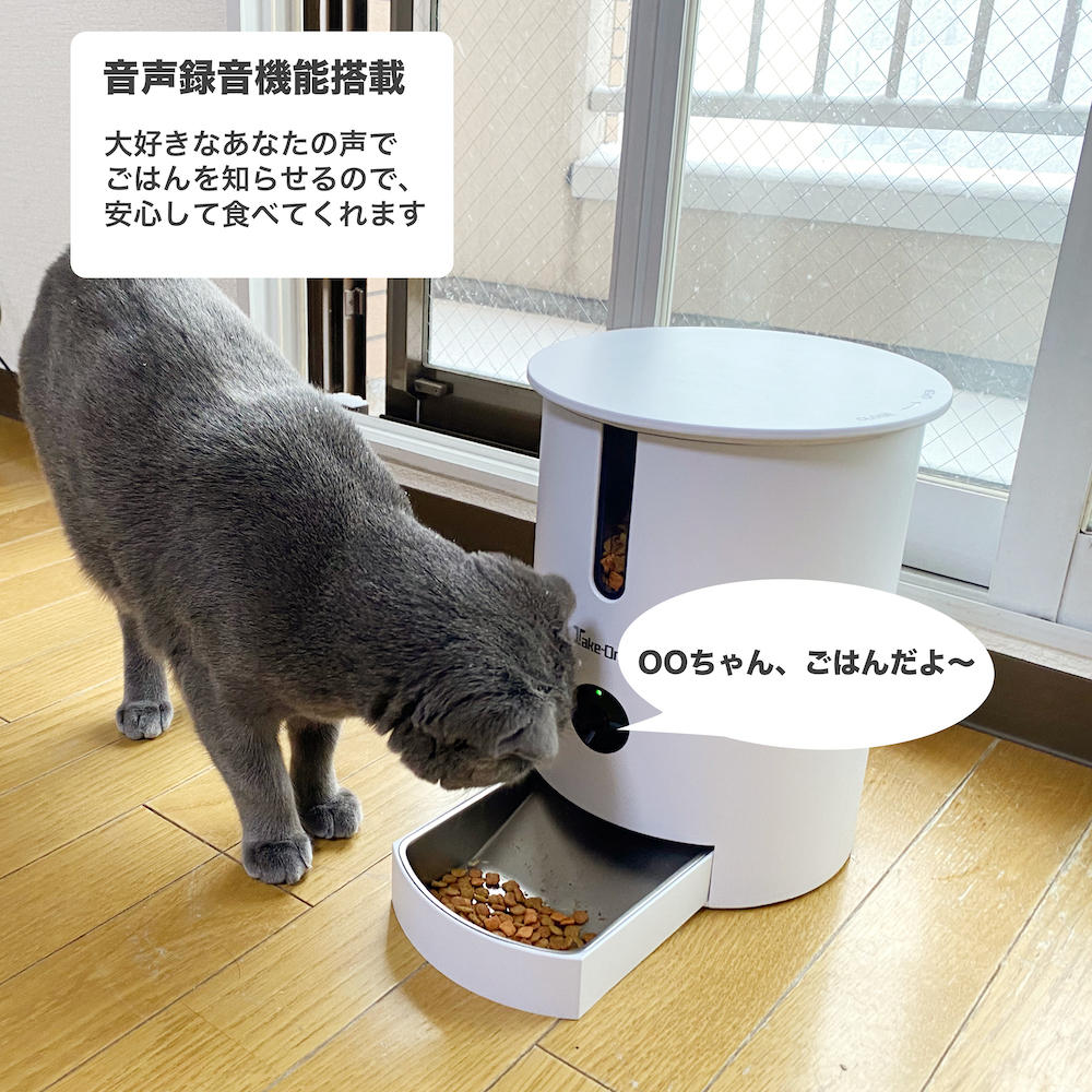 自動ペット給餌器 P1】アプリ連携でどこでも見守り！安心広角