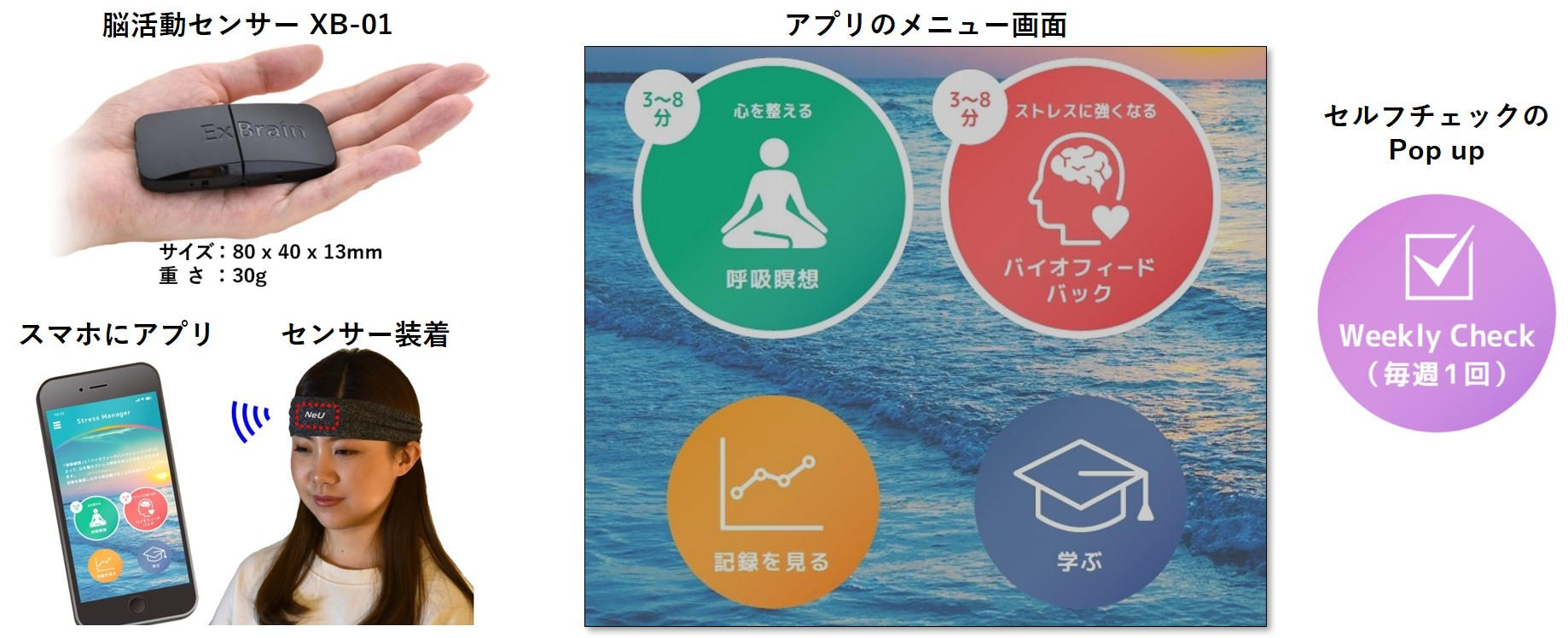 ストレスマネジメントフォザネクスト 動画とパワーポイントですぐできる! Amazon.co.jp: ストレスマネジメント フォ ザ ネクスト(DVD-ROM