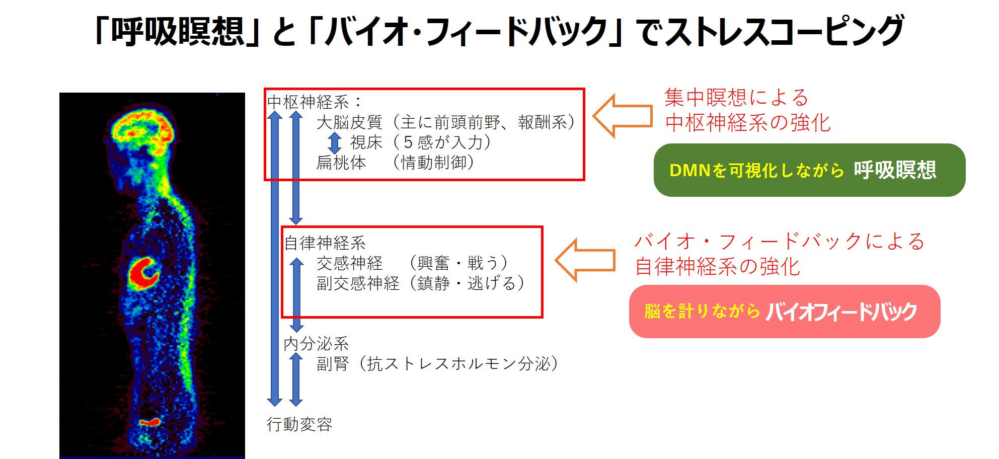 呼吸瞑想とバイオフィードバックでストレス軽減アプリ【ストレス