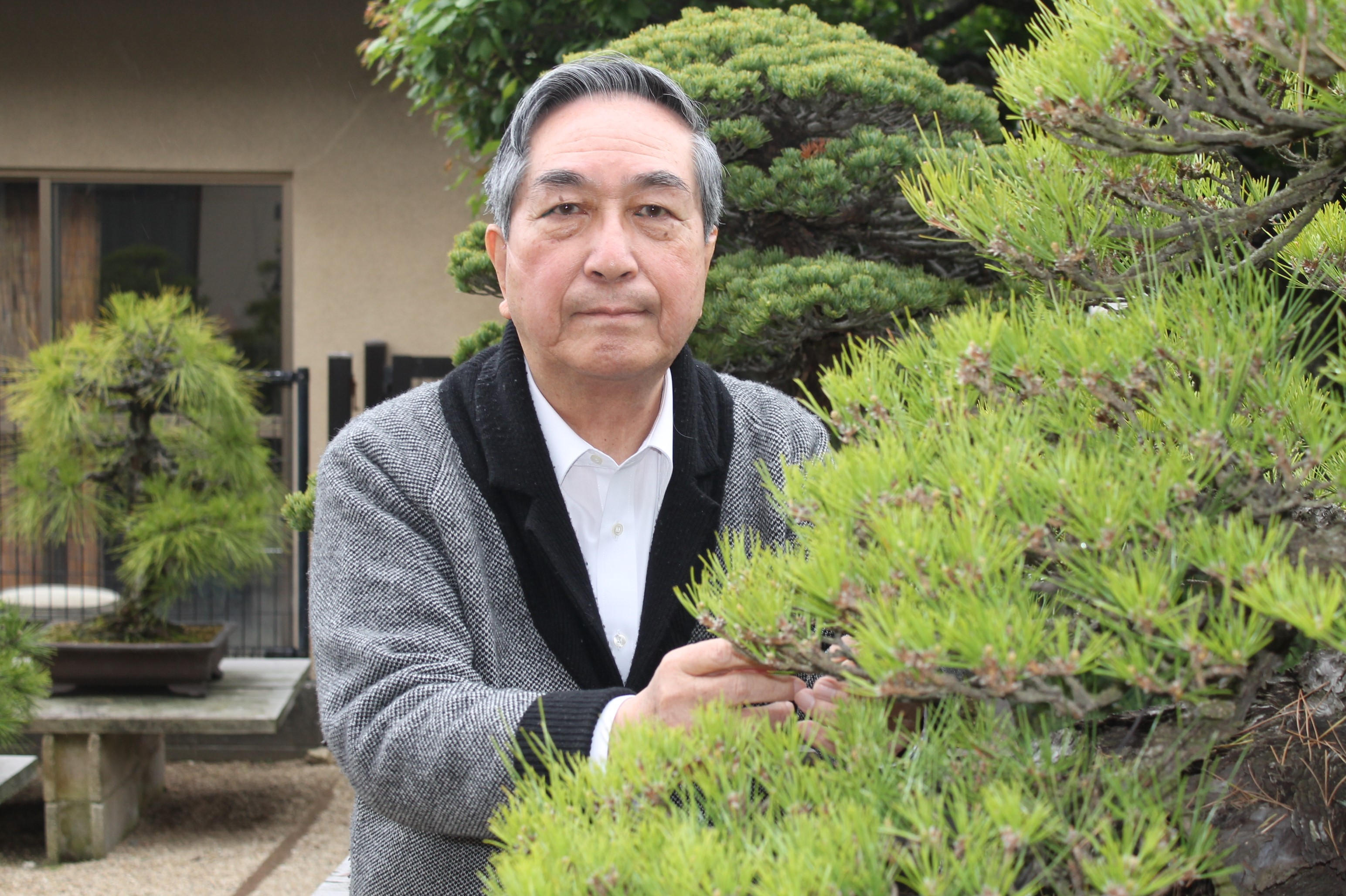 広島・己斐の盆栽の歴史を知ってほしい！ 陶器・漆器 オリジナル広島盆