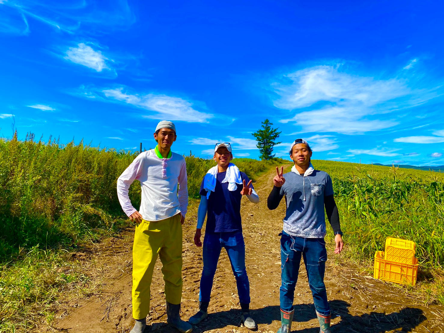 糖度16度！！年間販売数1万個！！地元でしか買うことのできなかった