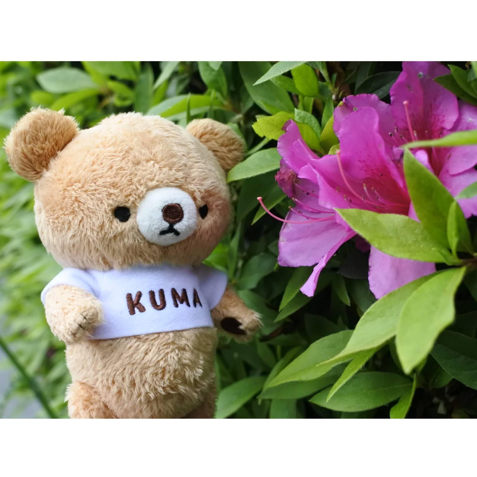 ハンドメイド 抹茶色　クマのぬいぐるみ ハンドメイド 抹茶色 クマのぬいぐるみ