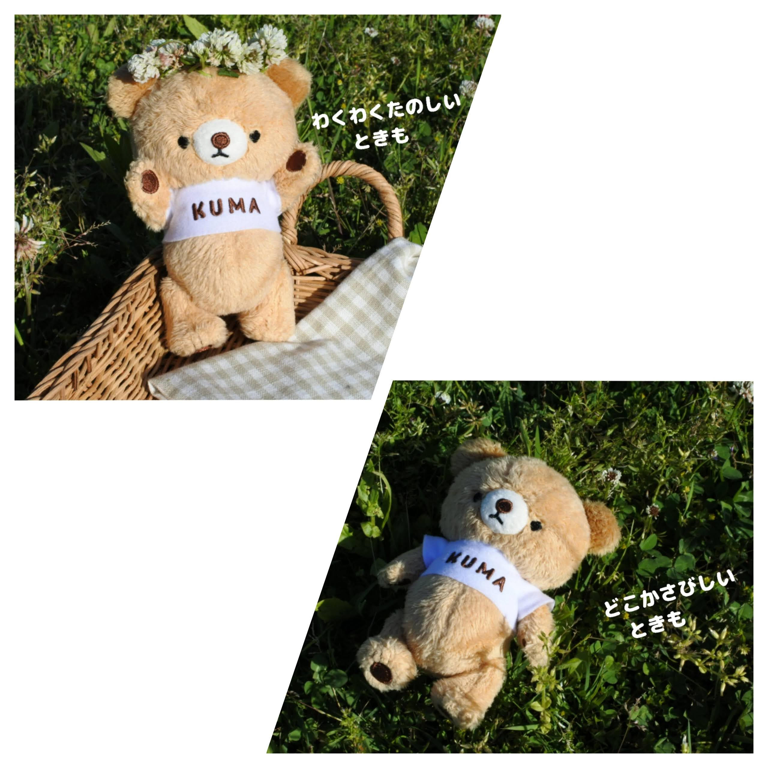 羊毛作家がお届けする！ふわふわくまさんのぬいぐるみ | クラウド