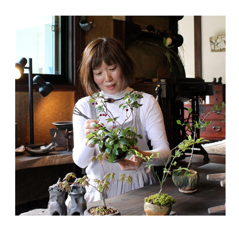 広島・己斐の盆栽の歴史を知ってほしい！ 陶器・漆器 オリジナル広島盆