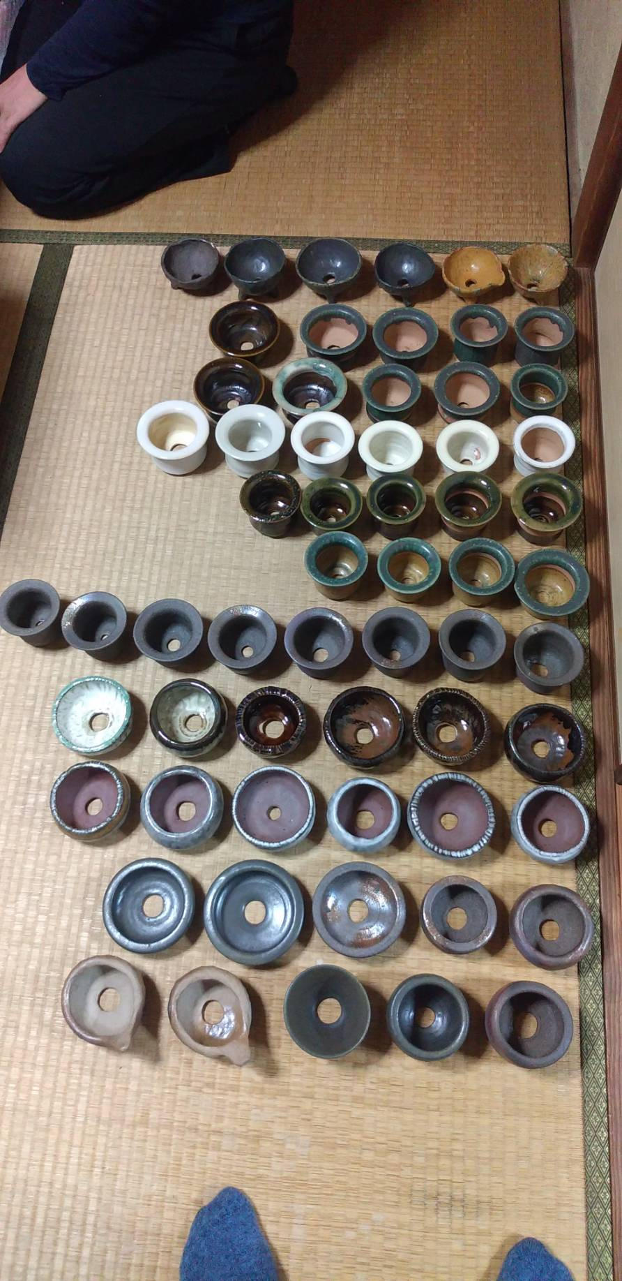 広島・己斐の盆栽の歴史を知ってほしい！ 陶器・漆器 オリジナル広島盆