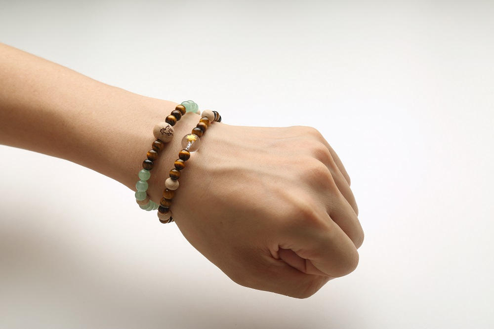 約1万年以上前から続く「北極星ノ森」の保全活動を、ブナ珠