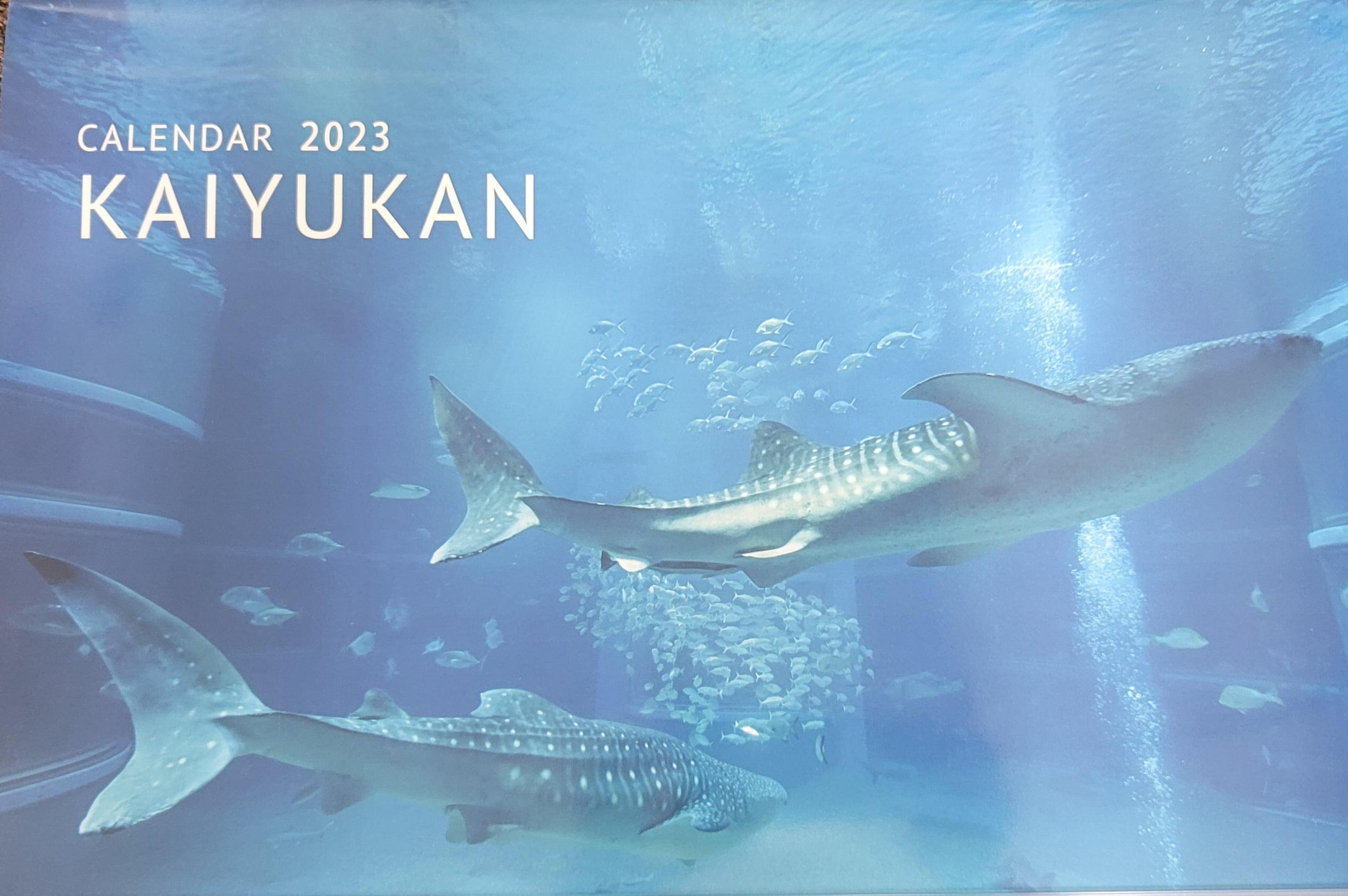 ⑤2023年海遊館オリジナルカレンダー - (ジンベエザメ保全のために海