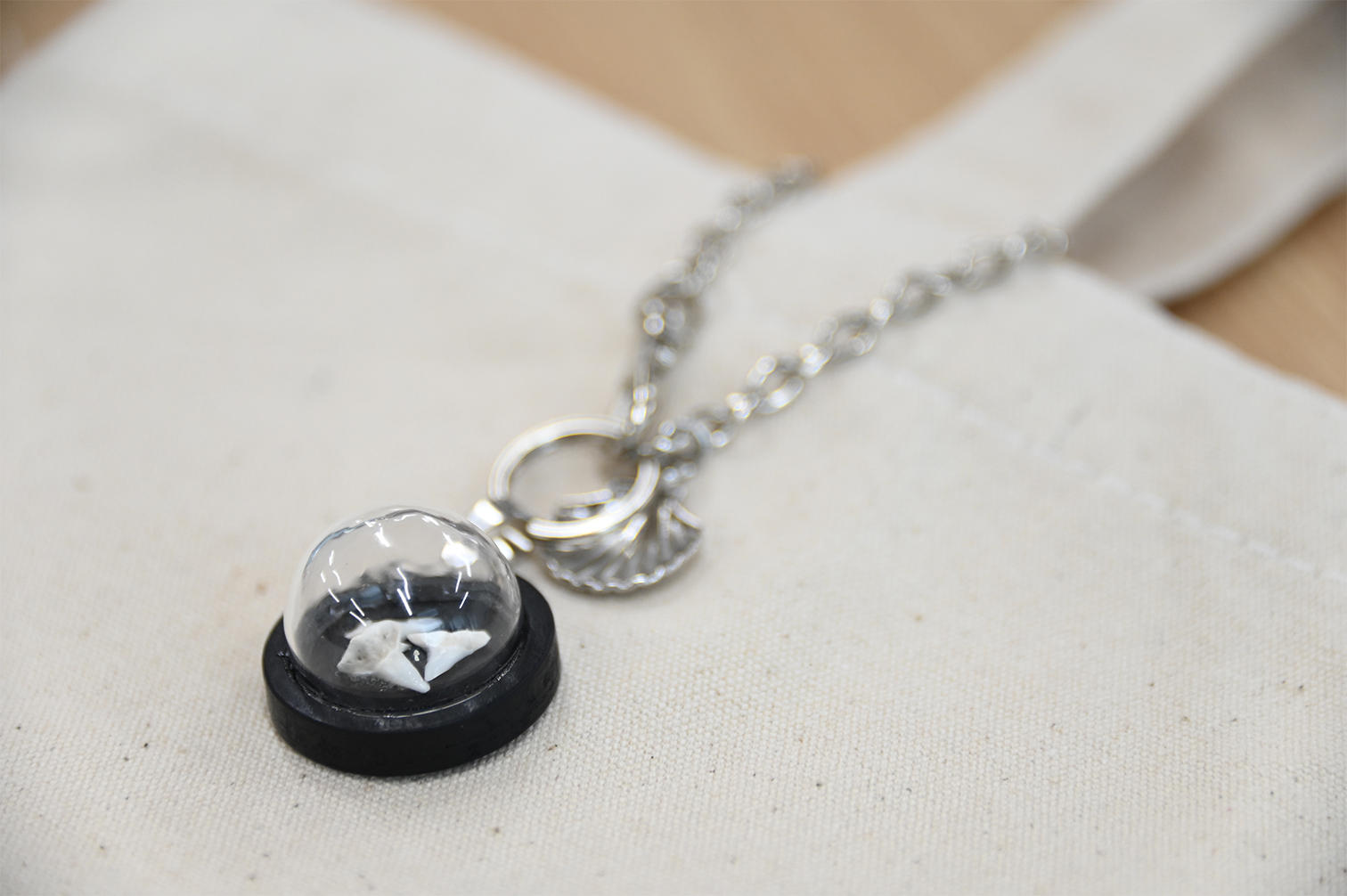 追加】㉙オリジナルサメの歯チャーム(チェーン付) - (ジンベエザメ保全