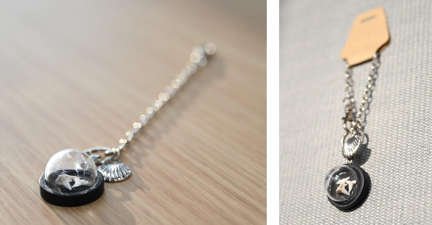 追加】㉙オリジナルサメの歯チャーム(チェーン付) - (ジンベエザメ保全