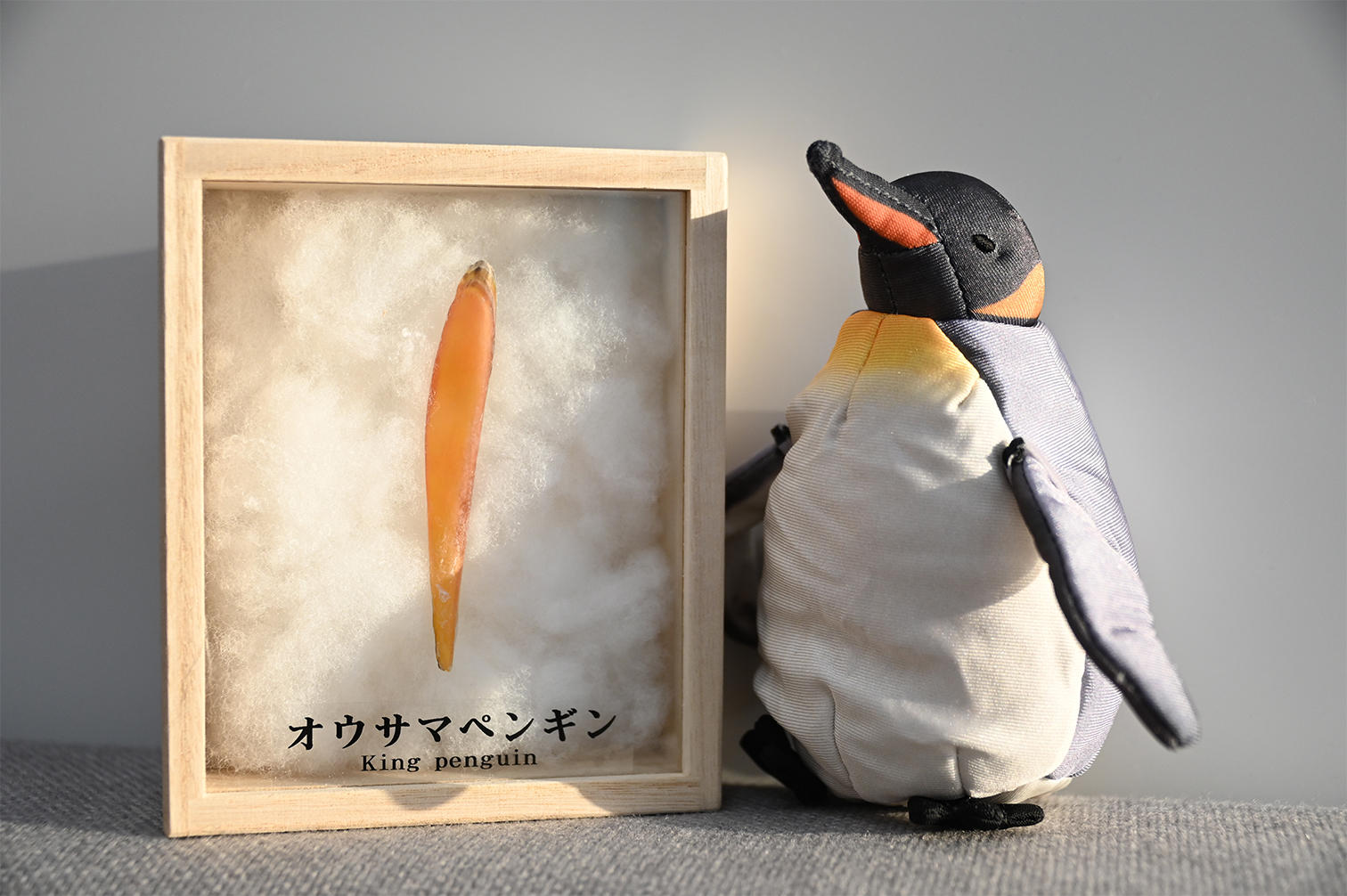 追加】㉛オウサマペンギンの嘴鞘（ししょう）＋ぬいぐるみ3変化