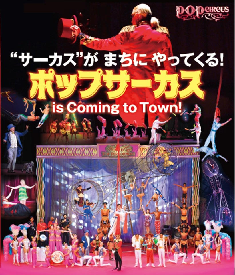 興奮と感動：ポップサーカス西宮公演】あなたのサーカス鑑賞が