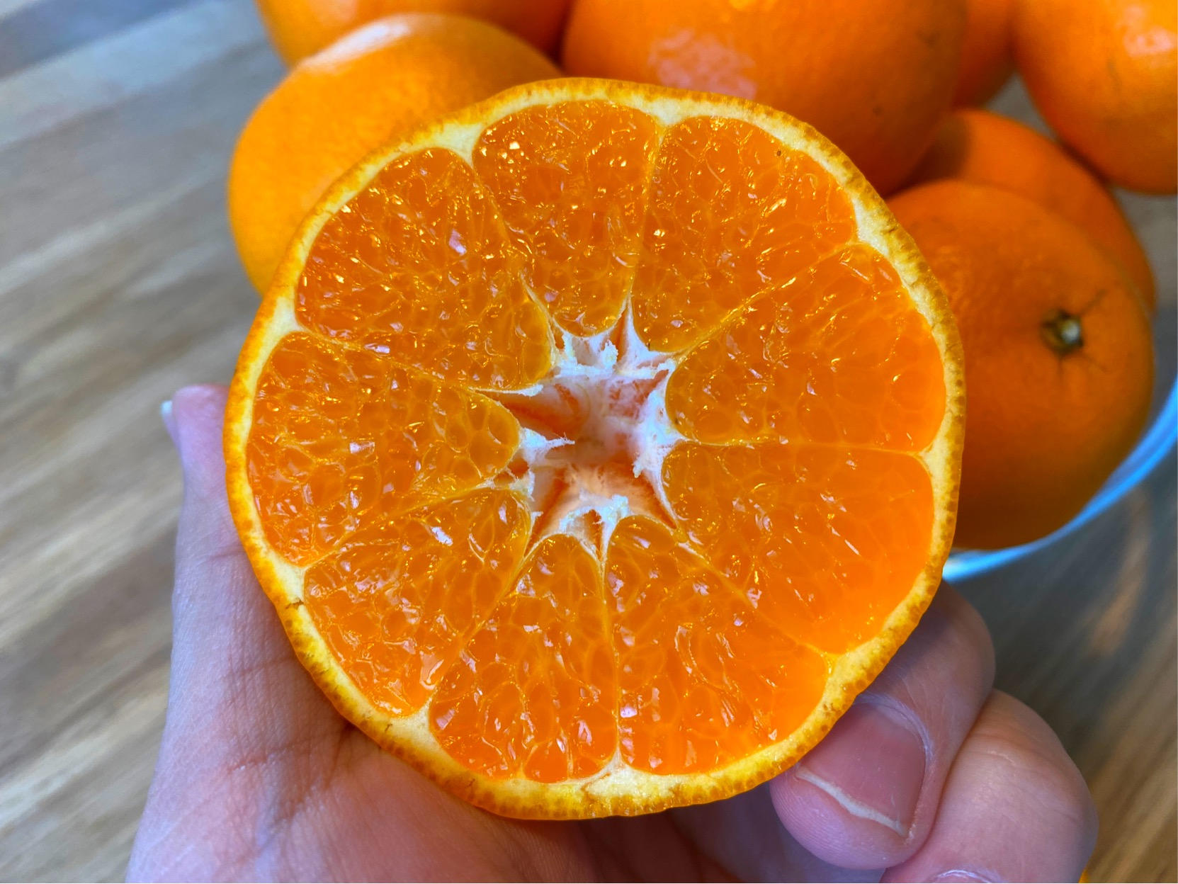 中島興業様専売 ご予約商品・2026年1月中旬よりご発送】青島みかんQueen(クイーン) 5