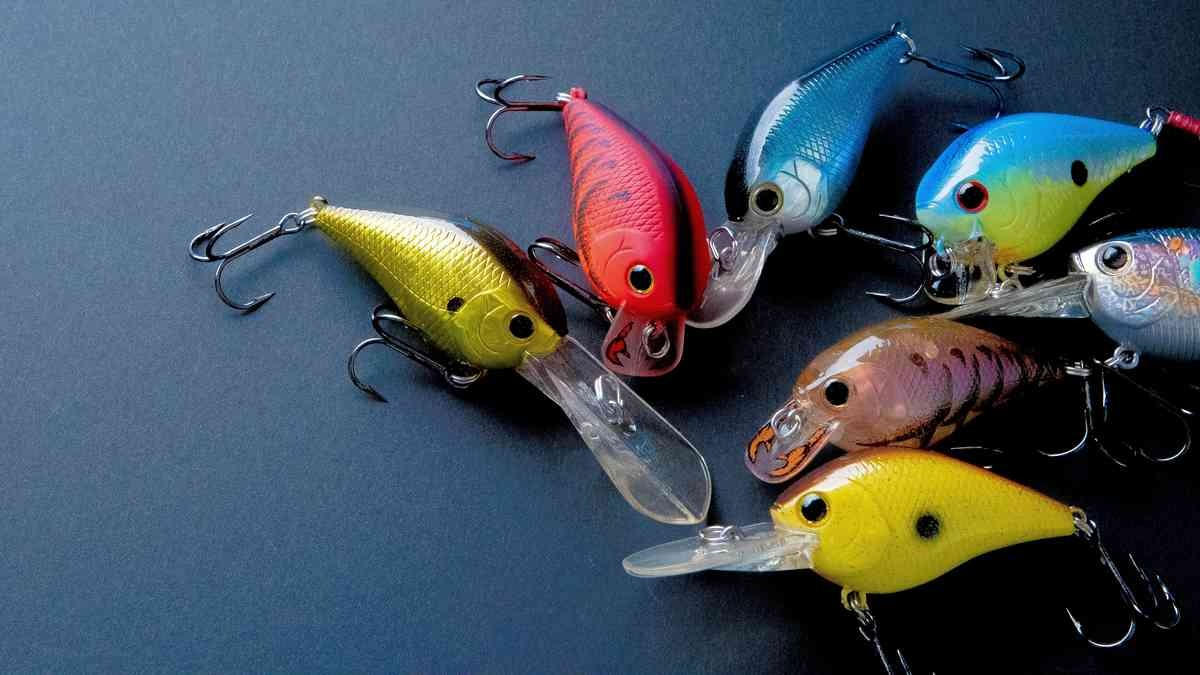 令和6年能登半島地震・ラッキークラフト支援プロジェクト | クラウド