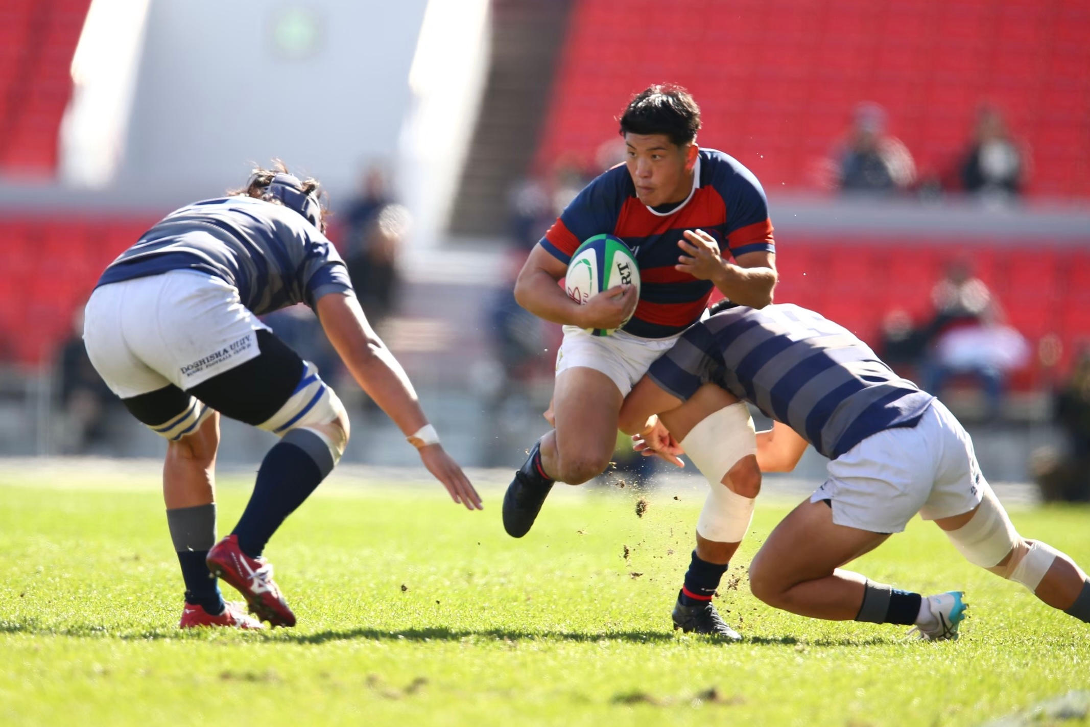 bf8c7b25e8238d215e35369f612613