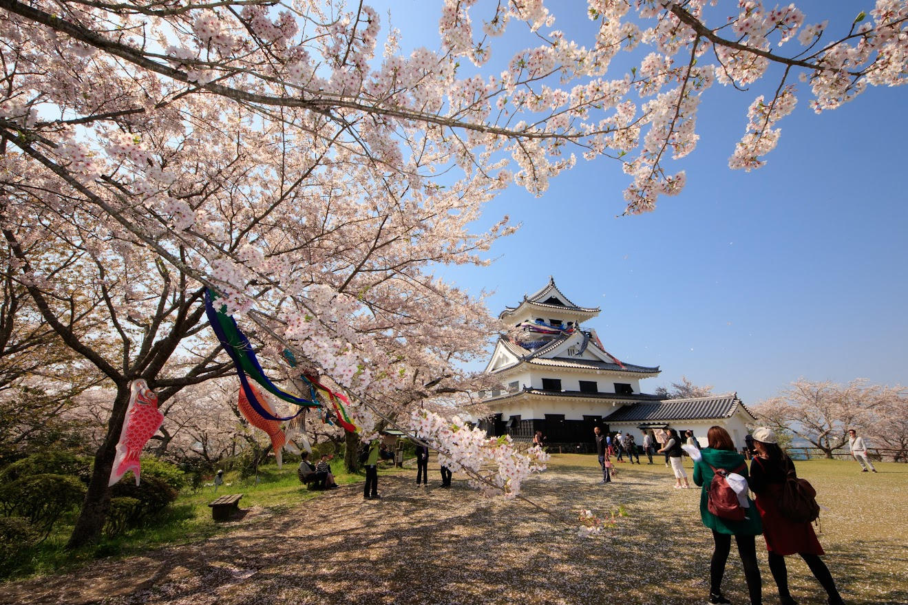 城山公園 モニュメント リニューアルプロジェクトみんなに愛される展望