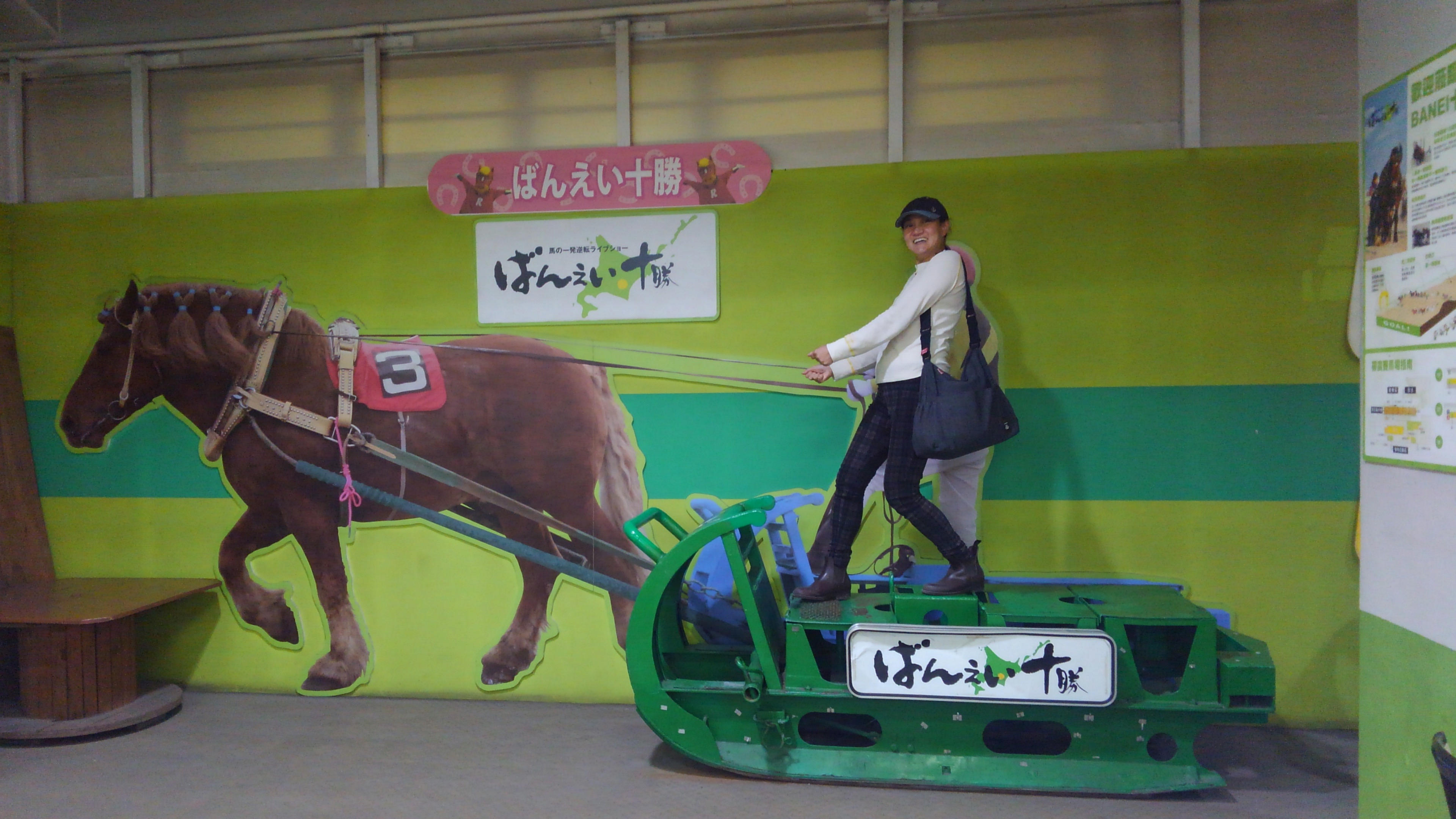 御堂筋に馬車を走らせよう❣️ | クラウドファンディング - FIRST STEP