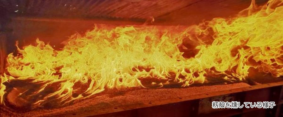 プロジェクト第二弾／【新米の先行販売】令和7年収穫の極上ブランド米