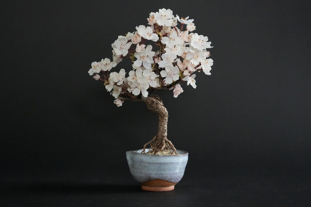 平安堂造 龍田川蒔絵 脇取盆 大小一組 紅葉 桜 木製 長方盆 京都【MA663 すべて1点もの】伝統と革新の融合。メンテナンス不要の「ドライ