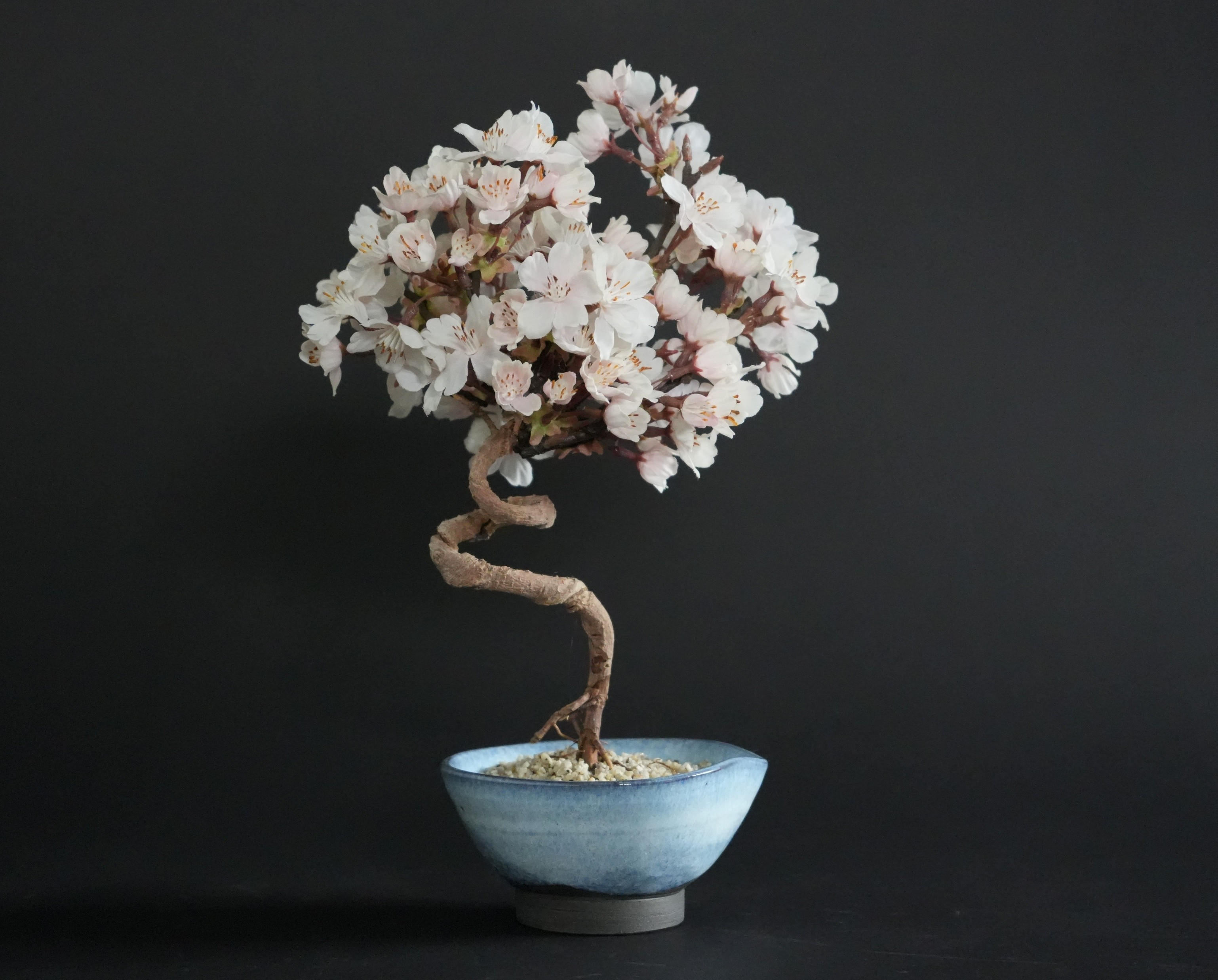 すべて1点もの】伝統と革新の融合。メンテナンス不要の「ドライ