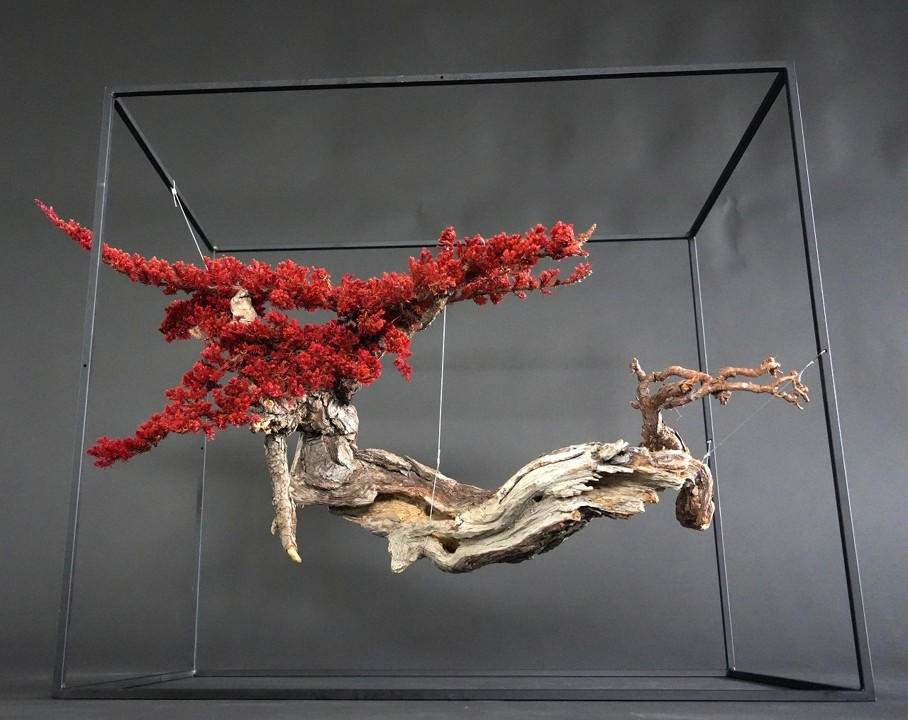 平安堂造 龍田川蒔絵 脇取盆 大小一組 紅葉 桜 木製 長方盆 京都【MA663 色絵桜紅葉文大鉢（雲錦手） 文化遺産オンライン