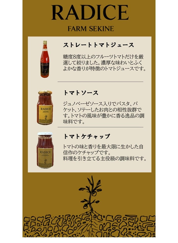 砂利で育てたら、トマトはここまで甘くなる。旭市から、高糖度「石播き