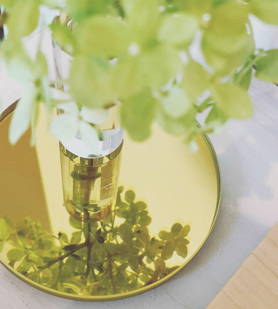 草花と光を生ける】光学ガラスの総合加工メーカーがつくる、シンプルな