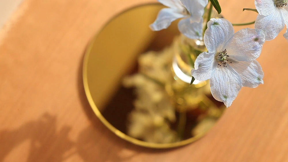 草花と光を生ける】光学ガラスの総合加工メーカーがつくる、シンプルな