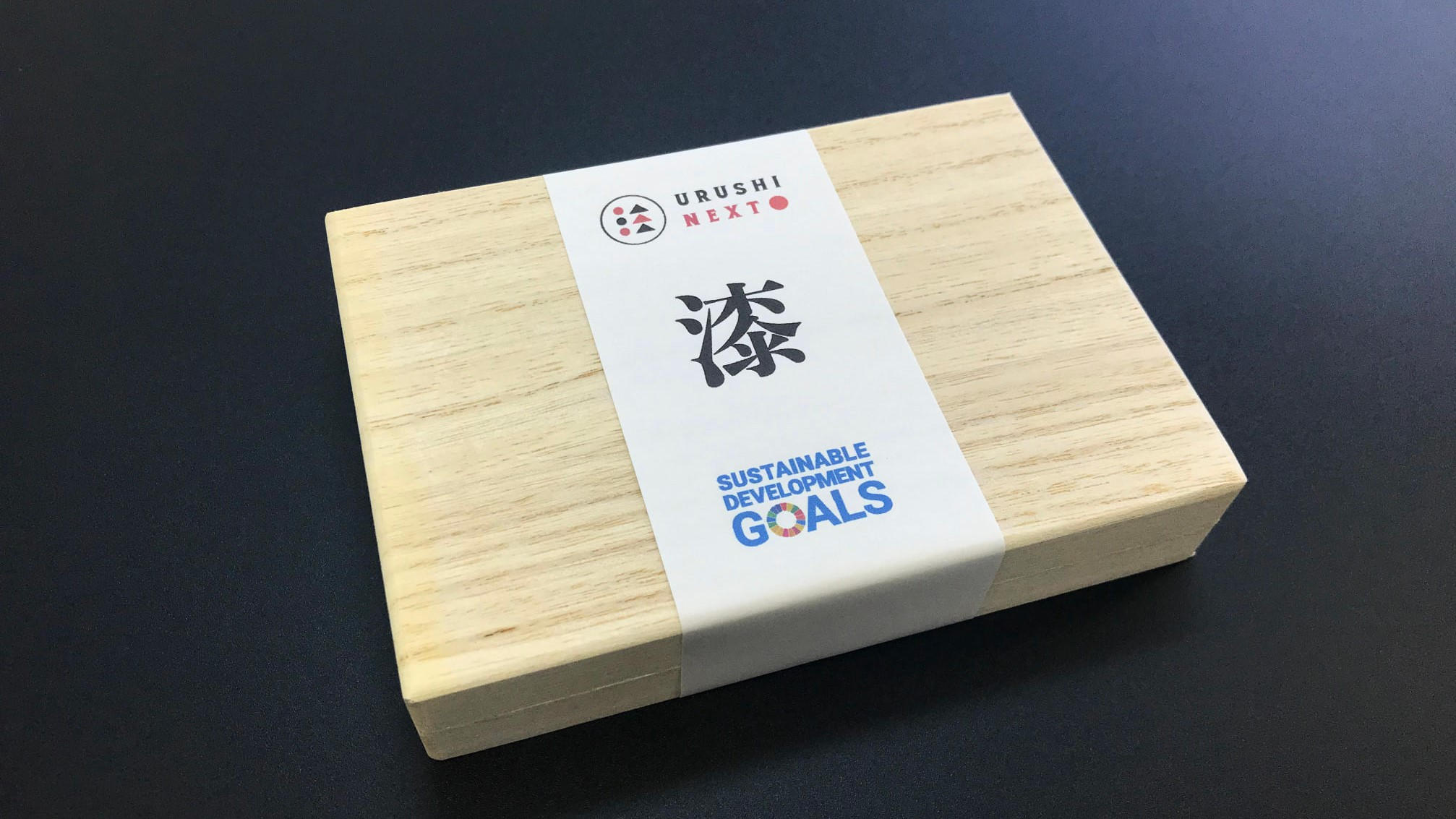 ふるさと納税 漆塗りSDGsバッジ マグネットタイプ≪ブラック≫  ブラック 天然素材の漆SDGsバッジ　お得な5個セット（ピンタイプ）　 | 未来ショッピング公式ストア