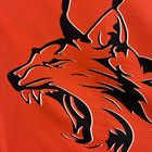 長崎大学全学アルティメット部