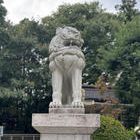 神社参拝者ねこ組