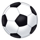 サッカー日本代表を応援する会
