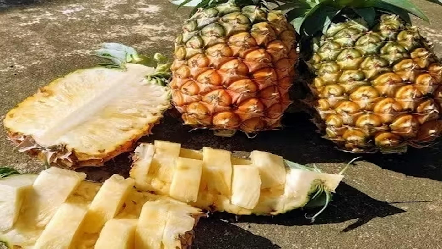 他とは一味違う！沖縄・西表島から完熟マンゴー・パイナップルをお届け