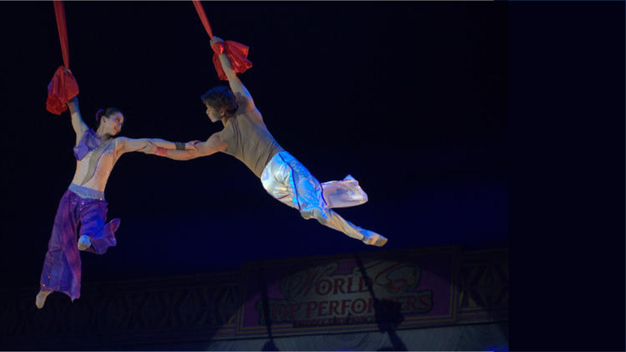 Circus of Happiness サーカスオブハピネス アッカボッテガ Circus of Happiness サーカスオブハピネス アッカボッテガ