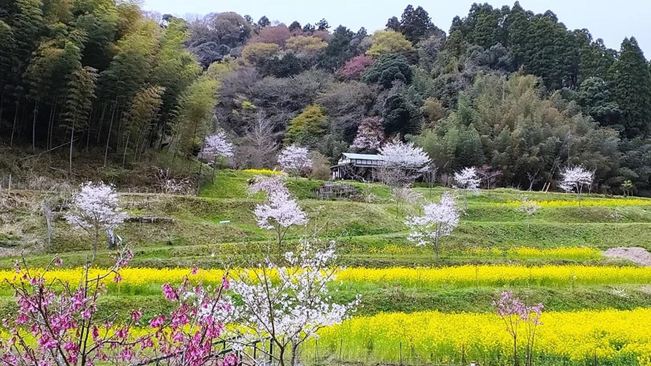 就労者と里山の未来のためにブルーベリー園に井戸を掘る。悲願の