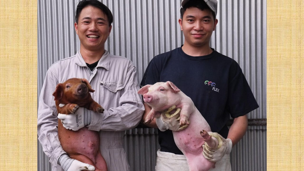 5年の歳月をかけ誕生した、うまみ凝縮、脂とろける豚肉をお届けします