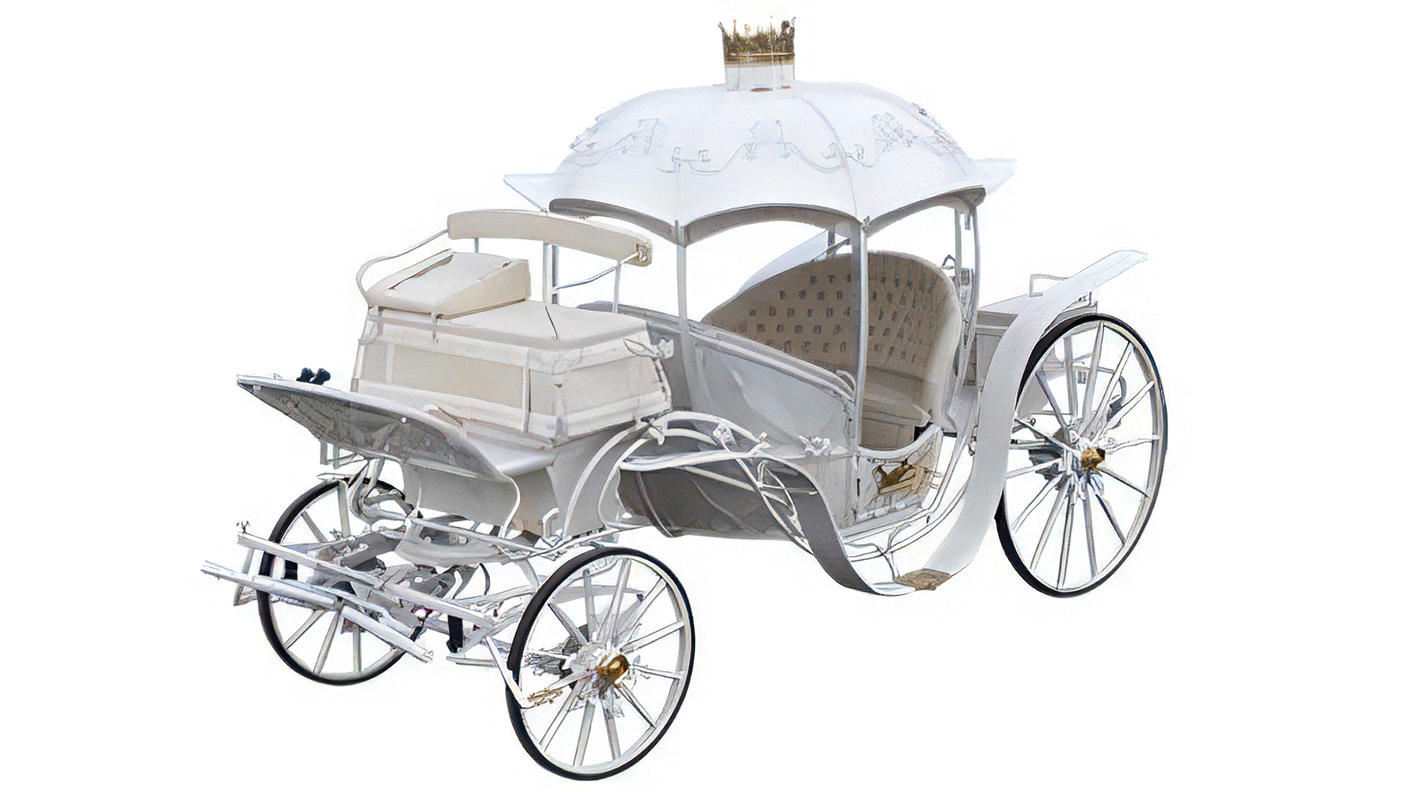 御堂筋に馬車を走らせよう❣️ | クラウドファンディング - FIRST STEP