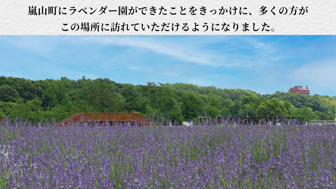 クラウドファンディングプロジェクト：【嵐山町の挑戦】『まち』と『ひと』で紡ぐ紫のじゅうたん。咲き誇るラベンダーをもう一度