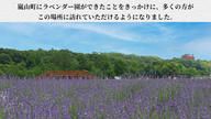 クラウドファンディングプロジェクト：【嵐山町の挑戦】『まち』と『ひと』で紡ぐ紫のじゅうたん。咲き誇るラベンダーをもう一度