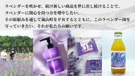 クラウドファンディングプロジェクト：【嵐山町の挑戦】『まち』と『ひと』で紡ぐ紫のじゅうたん。咲き誇るラベンダーをもう一度