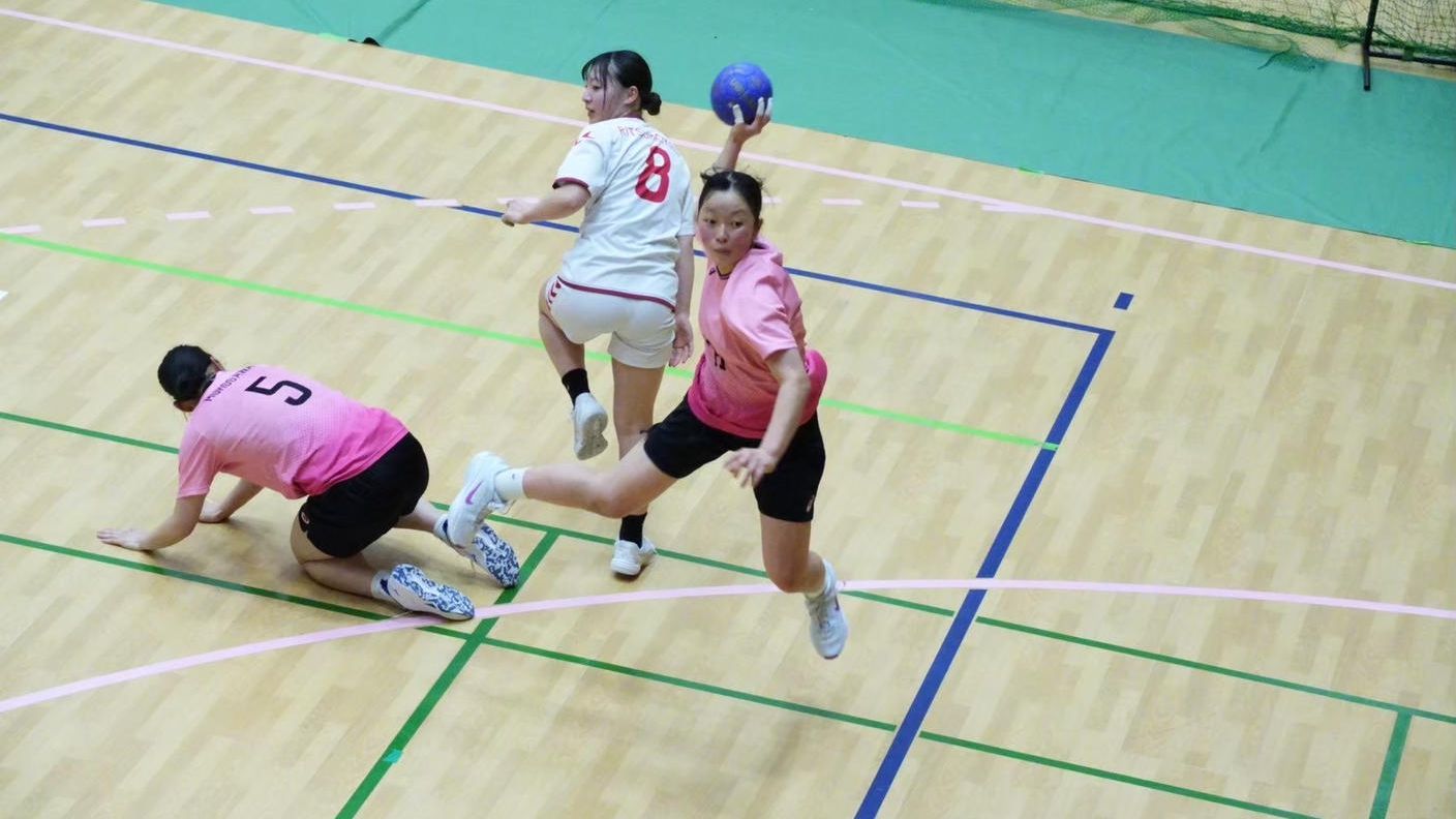 クラウドファンディングプロジェクト：武庫川女子大学ハンドボール部