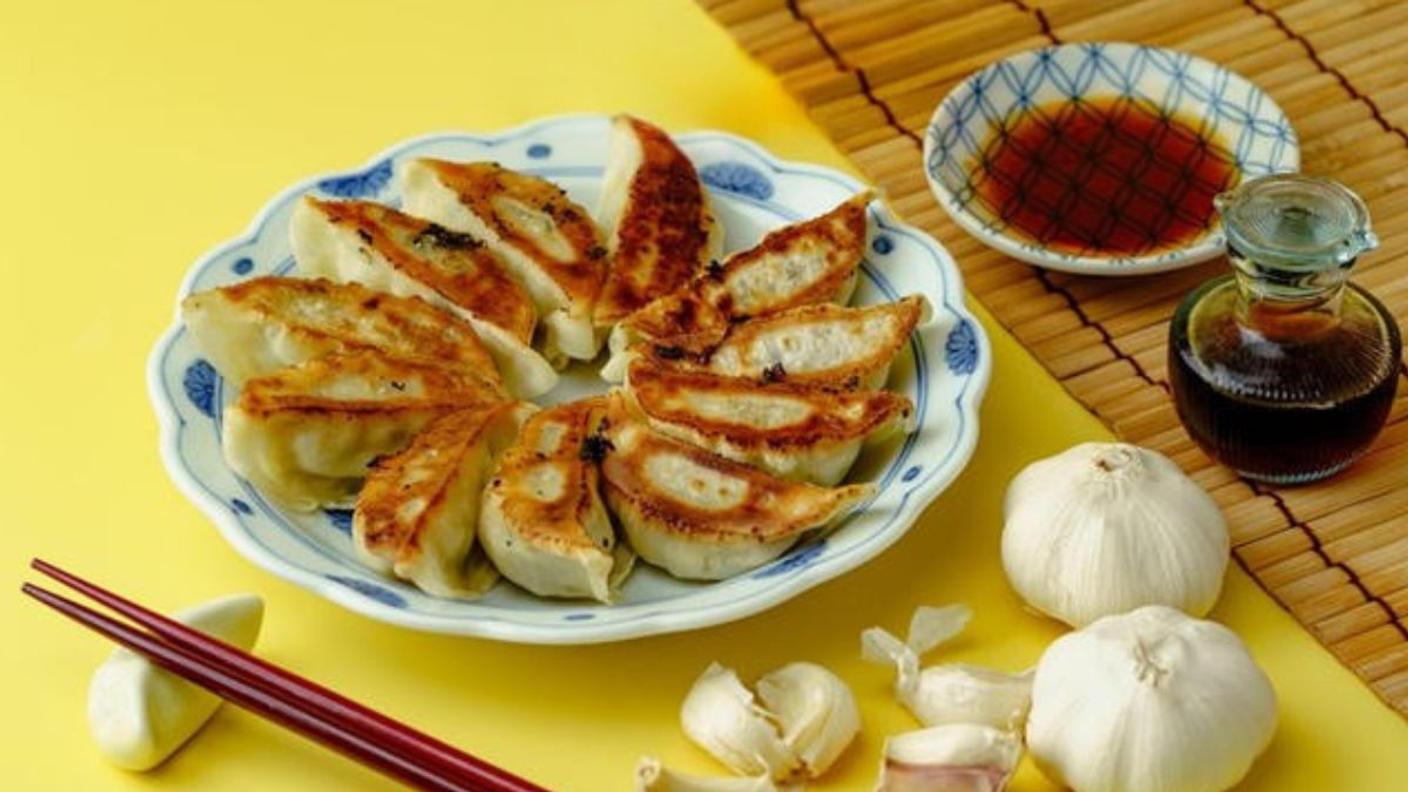 クラウドファンディングプロジェクト：ジューシーなのにヘルシー！！家族が笑顔になる国産野菜＆雑穀たっぷり餃子