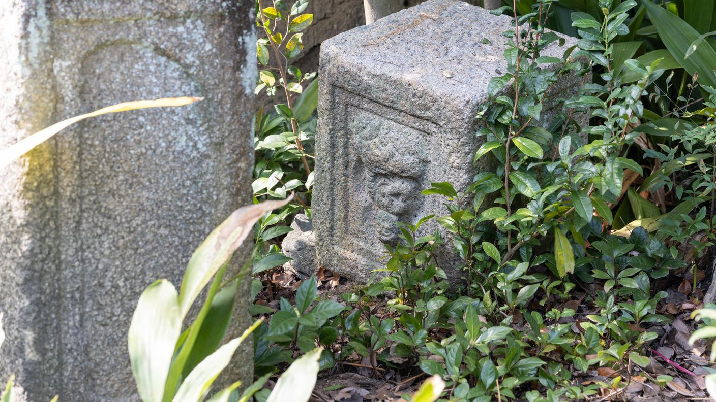 クラウドファンディングプロジェクト：京都・市中のかくれ寺に「みんなのよりどころ」となる日本庭園をつくる