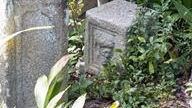 クラウドファンディングプロジェクト：京都・市中のかくれ寺に「みんなのよりどころ」となる日本庭園をつくる