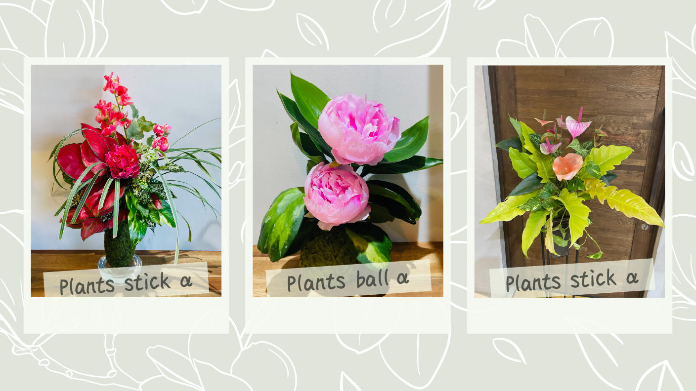 クラウドファンディングプロジェクト：土を使わず長持ちする「プランツボール・プランツスティック」で手軽に植物を飾る日常を