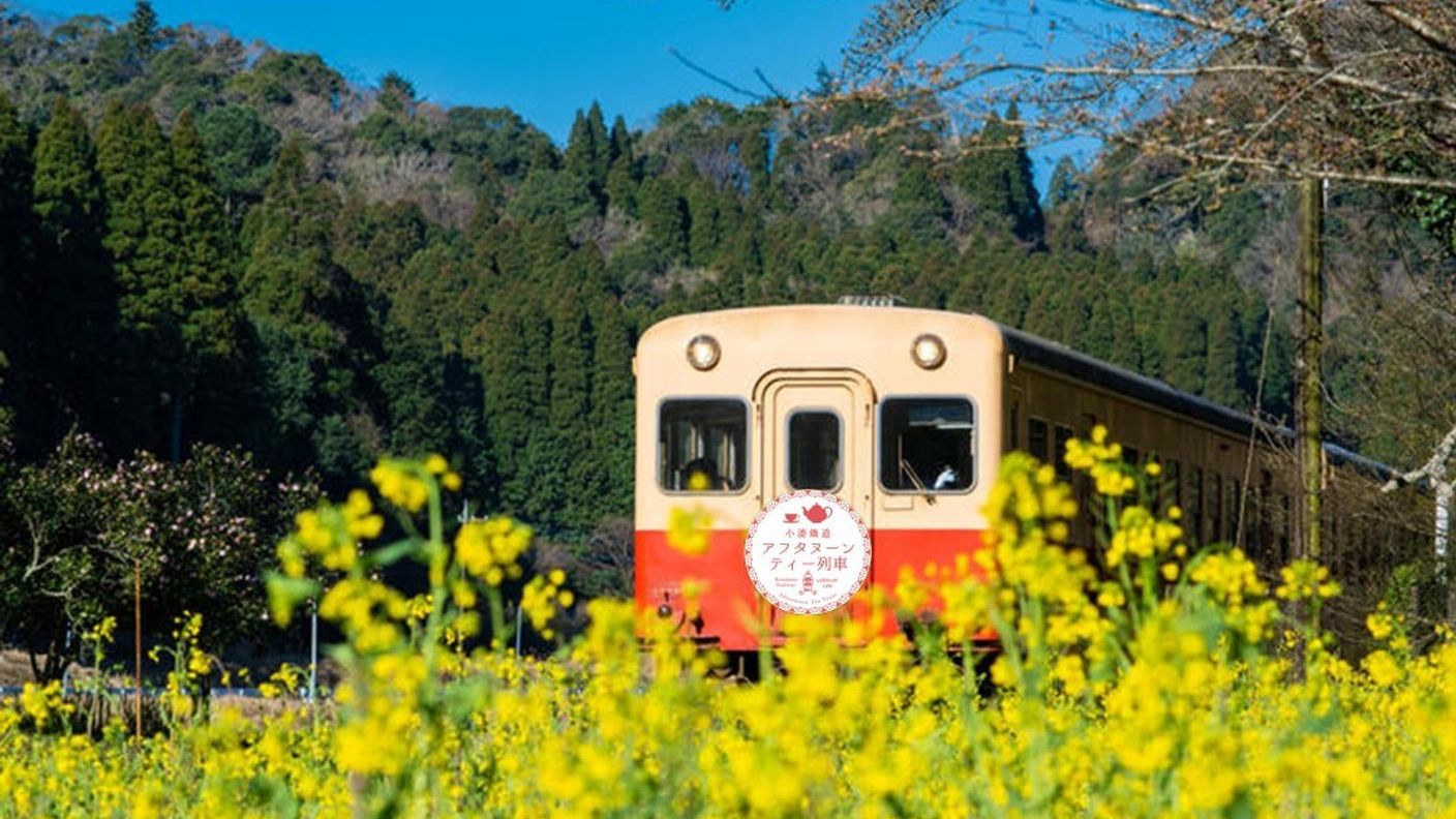 クラウドファンディングプロジェクト：いちご × 菜の花 × コーヒー。春の小湊鐵道で味わう「アフタヌーンティー列車」の旅。