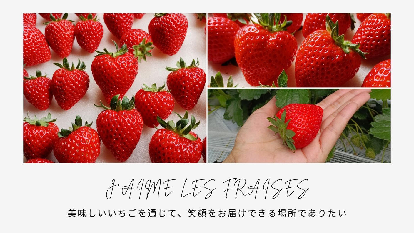 クラウドファンディングプロジェクト：行田のまちの変化を、運転席から見てきた会社の挑戦―完熟まで育てた「あまりん」を、ジャムに―