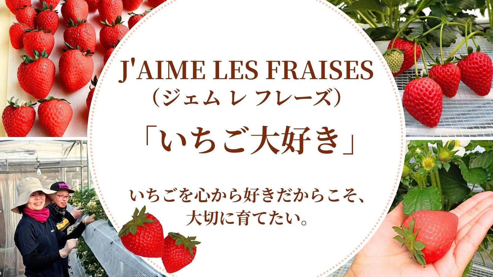 行田のまちの変化を、運転席から見てきた会社の挑戦―完熟まで育てた