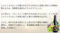 クラウドファンディングプロジェクト：【150本限定】鳥海農園と武蔵ワイナリーによる高級ワイン「Extra Shine 2026」